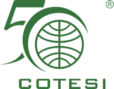 ��� �������� COTESI Companhia de Txteis Sintticos S.A