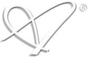   Amel Chamandy® Designs
