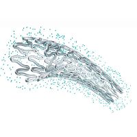 Coronary stent Eurolimuscobalt-chromiumdrug eluting