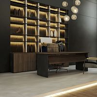 Contemporary sideboard ACSISwoodenwith swing doorshome office