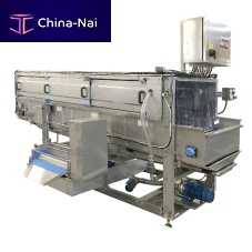 Fruit food washing tunnel SWCbrush