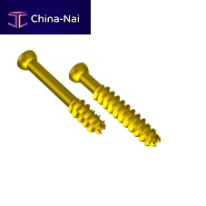 Femur osteotomy screw tibiafemoral condylecalcaneus