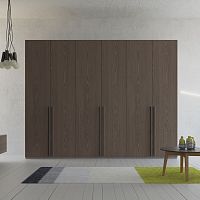 Contemporary wardrobe ZN702woodenwith swing doorsmirrored
