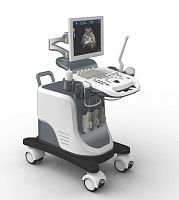On-platform ultrasound system FTL-UTS2600for gynecological and obstetric ultrasound imagingfor abdominal and pelvic ultrasound imagingfor cardiovascular ultrasound imaging
