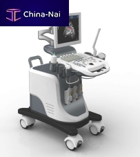 On-platform ultrasound system FTL-UTS2600for gynecological and obstetric ultrasound imagingfor abdominal and pelvic ultrasound imagingfor cardiovascular ultrasound imaging