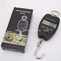 Electronic scale Brans-PL seriescommercialdigitalportable