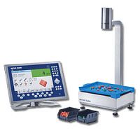 Platform weighing scale InVisionwith graphic displaywith separate indicatorprocess