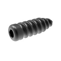 Cruciate ligament interference screw NMKA non-absorbable