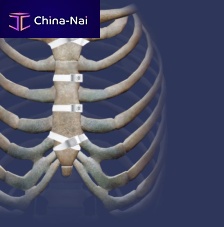 Sternal closure bone cerclage wiring Ortholox® UHMWPEmultifilament polymer