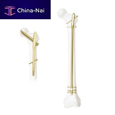 Femoral intramedullary nail KTOtrochanterproximal fixationtitanium