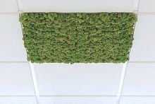 Ceiling sound-absorbing panel preserved mossfor officecommercial