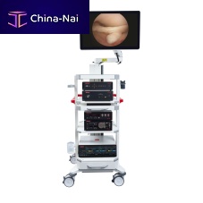 Arthroscopic endoscopy column Economy