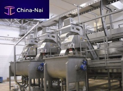 Fruit chunking-slicing machine for vegetables