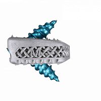 Cervical interbody fusion cage Magnolis® Zanterior