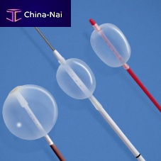 Occlusion catheter blood vesselureteralballoon
