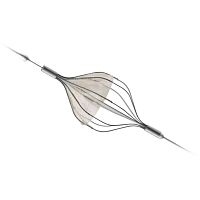 Carotid embolic protection system ANGIOGUARD RX