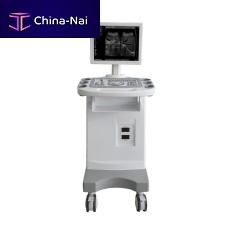 On-platform ultrasound system FTL-UTS80for gynecological and obstetric ultrasound imagingfor abdominal and pelvic ultrasound imagingfor cardiovascular ultrasound imaging