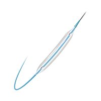 PTCA catheter VesPenetrator®chronic total occlusioncoronaryballoon