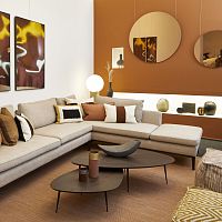 Contemporary coffee table PEBBLEoakmetal basetriangular