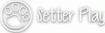   SETTER PLAY