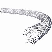Peripheral stent S.M.A.R.T. CONTROLfemoral arterynitinolself-expanding