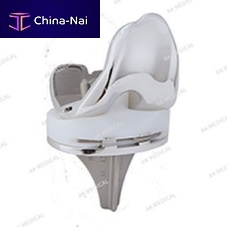 Total knee prosthesis A3