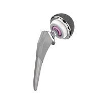 Primary hip prosthesis ACTIScementless
