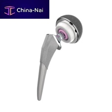 Primary hip prosthesis ACTIScementless