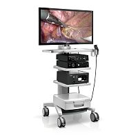 Video veterinary laparoscope Vetina CS7for canineswith working channel
