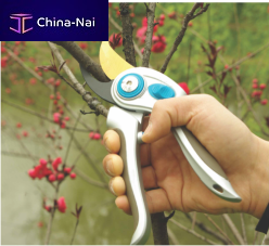      Shanghai Worth Garden Products Co.,Ltd.