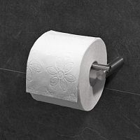 Wall-mounted toilet paper dispenser TPH2stainless steel