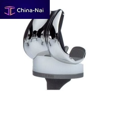 Fixed-bearing tibial bearing ASKAcemented