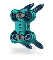 Lumbar arthrodesis plate Raven® 1 level