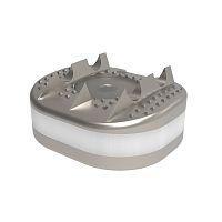 Cervical disc prosthesis D-Flex