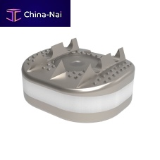 Cervical disc prosthesis D-Flex