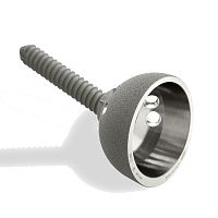 Revision acetabular prosthesis SANSONEcementless