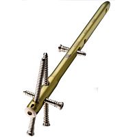 Ankle intramedullary nail VALORdistal fixation