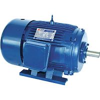 AC motor WTL seriesasynchronousinverter duty