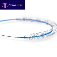 Coronary stent GENXSYNCpolymer