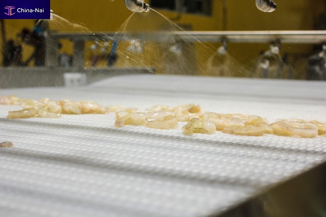 											Shrimp ice glazing machine belt