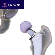 Primary hip prosthesis Cordera cementless