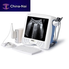Transcranial doppler Digi-Lite IP+tablecolor