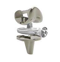 Total knee prosthesis NKS PLUS