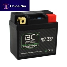 Lithium iron phosphate battery BCLFP0112 Vfor electric vehiclesCE