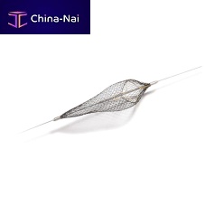 Carotid embolic protection system Proender®