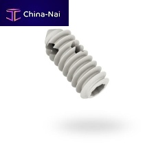 Small joint suture anchor Pentasabsorbable