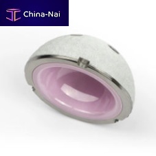 Cementless acetabular prosthesis ALTEA