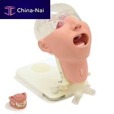 Dental care patient simulator MW29head