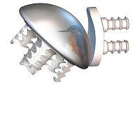 Cementless humeral head prosthesis EASYTECH®