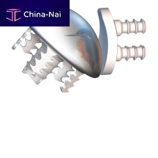 Cementless humeral head prosthesis EASYTECH®